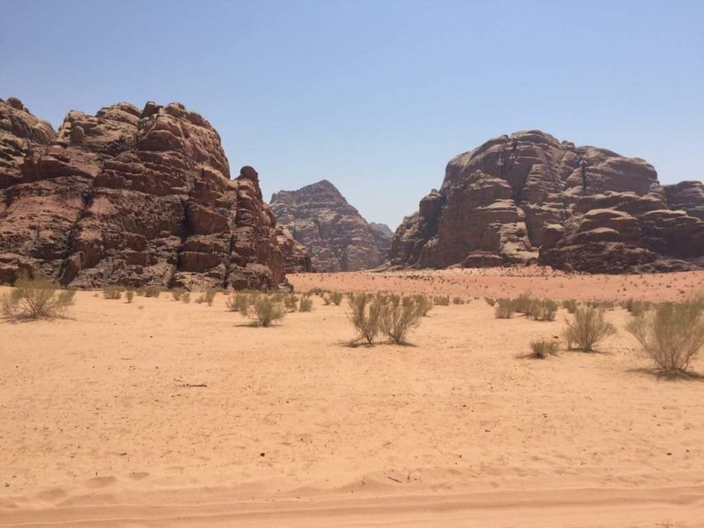 Wadi Rum-Bedouin Tents And Jeep Tours Экстерьер фото